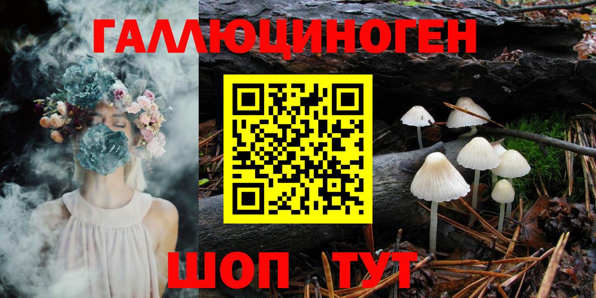 Псилоцибиновые грибы мицелий Кизилюрт